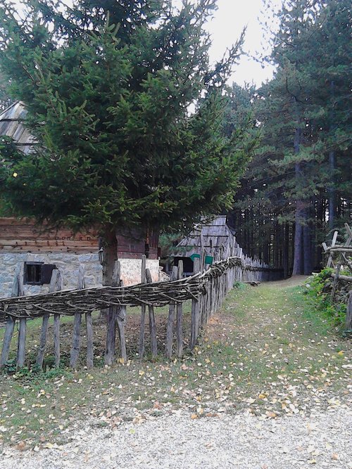 Zlatibor Seeking True Quality review images