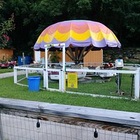 Cool Amusement Park!