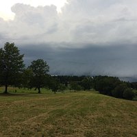 Rechts im Bild verläuft der Barfußpfad an den Bäumen entlang, links der normale Fußweg.