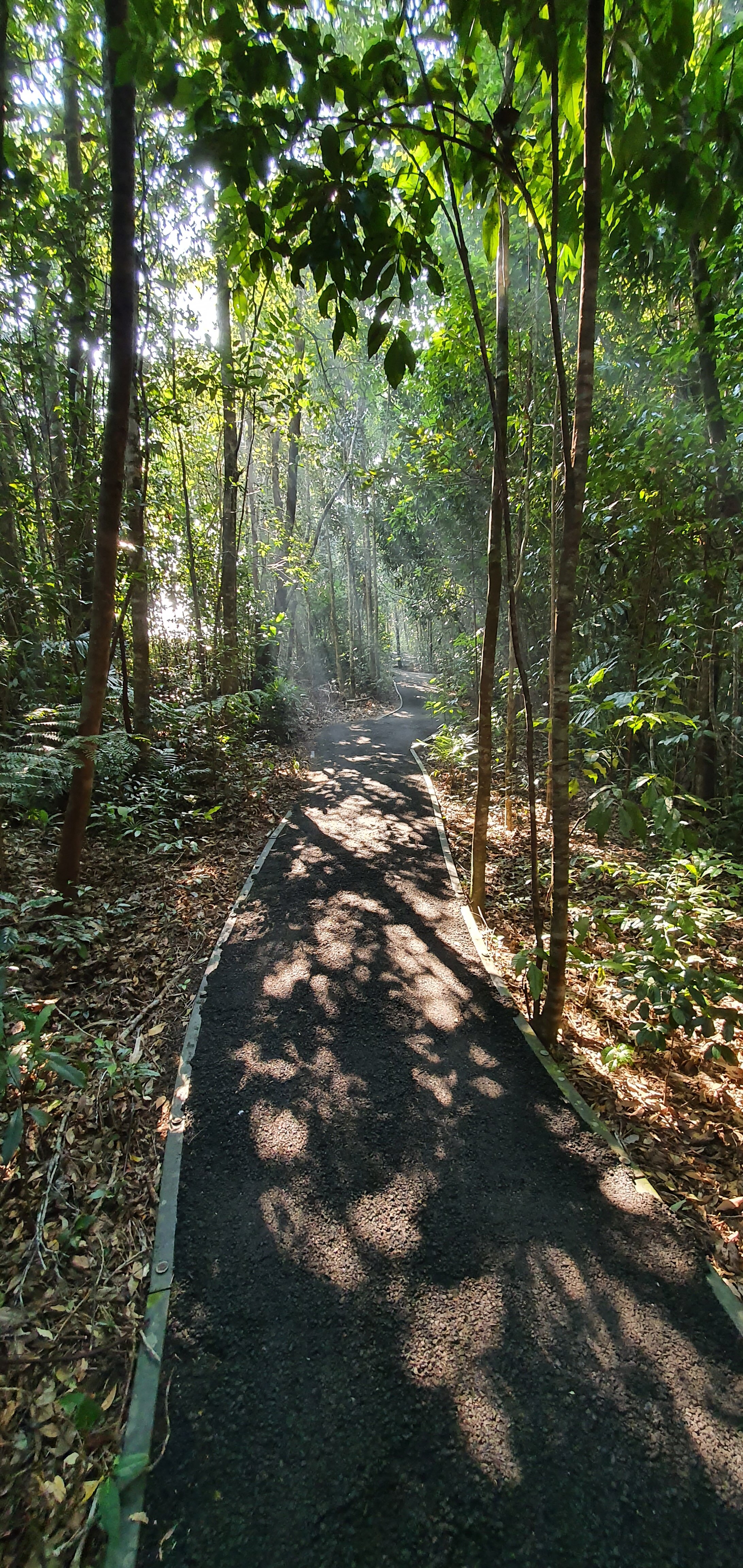 MCCLELLANDS LOOKOUT (Paluma) - 2022 What To Know BEFORE You Go