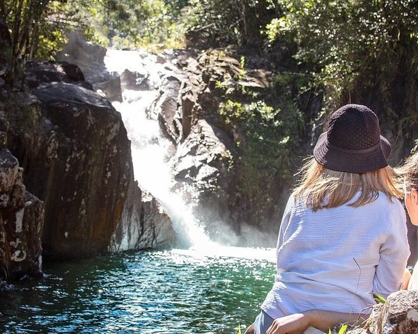 Eungella National Park: All You Need To Know Before You Go