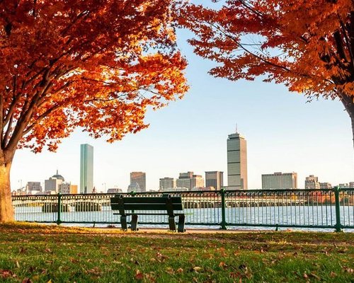 Excursão pelos jardins ocultos de Boston