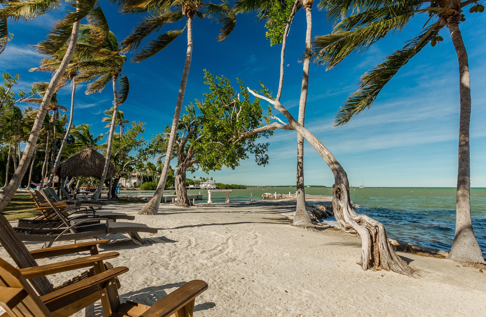 Checking into Cheeka - Review of Cheeca Lodge & Spa, Islamorada, FL -  Tripadvisor