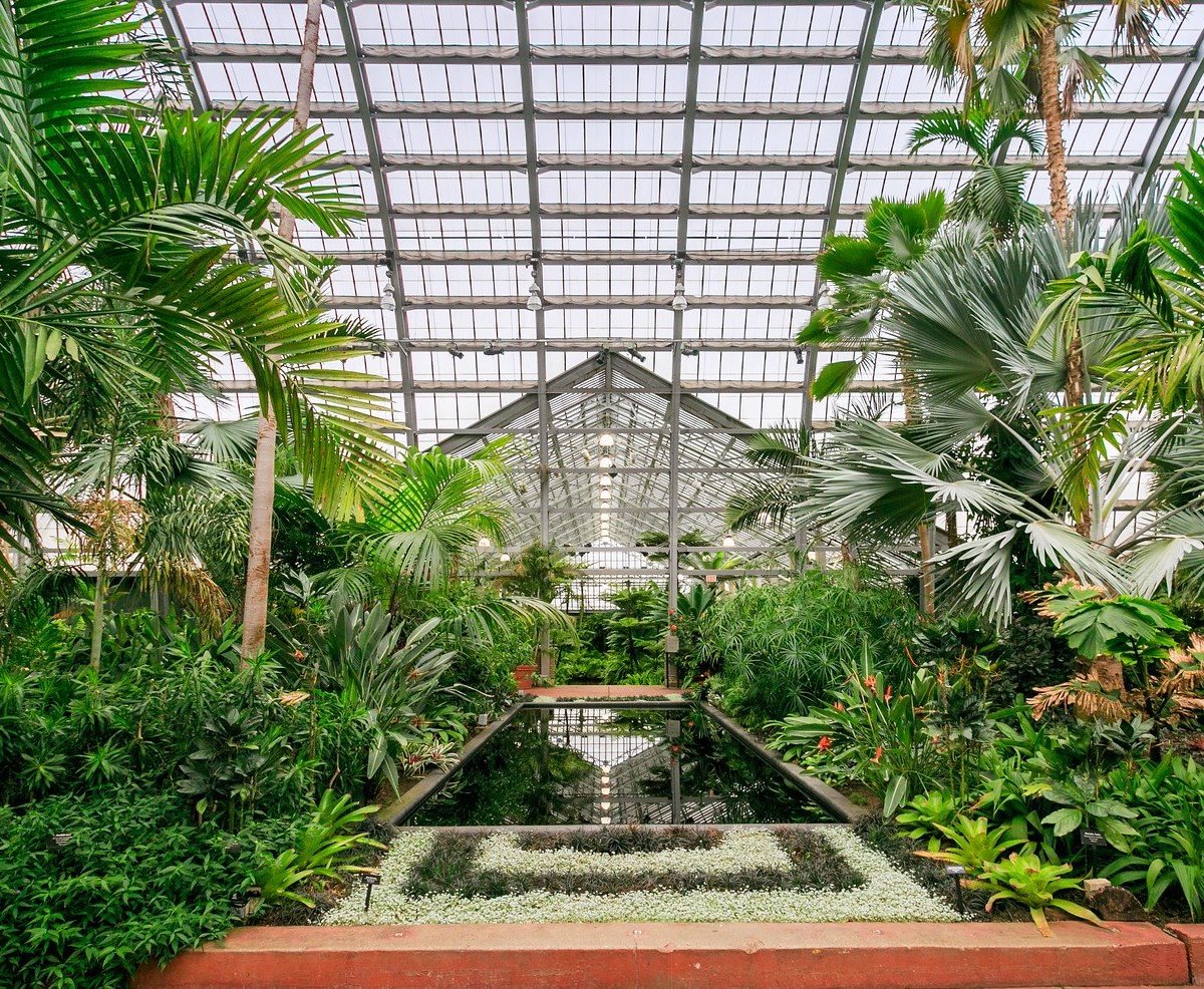 Garfield Park Conservatory (Chicago) ATUALIZADO 2022 O que saber