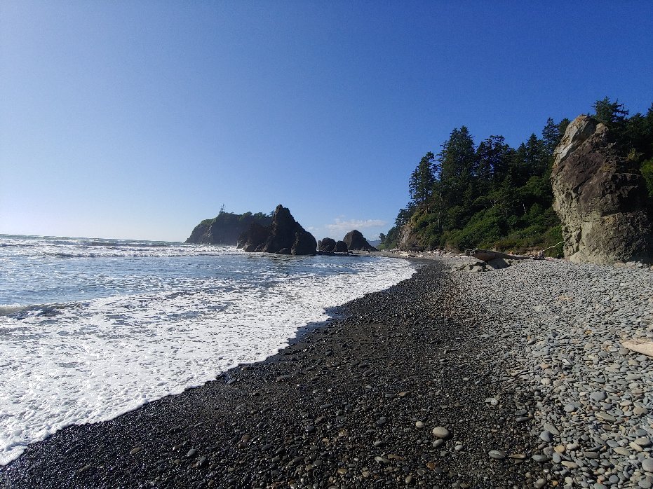 Olympic National Park And Forest Lake Quinault Tours - All You Need To 