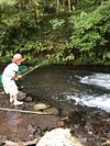 21年 白糸マス釣センター 行く前に 見どころをチェック トリップアドバイザー