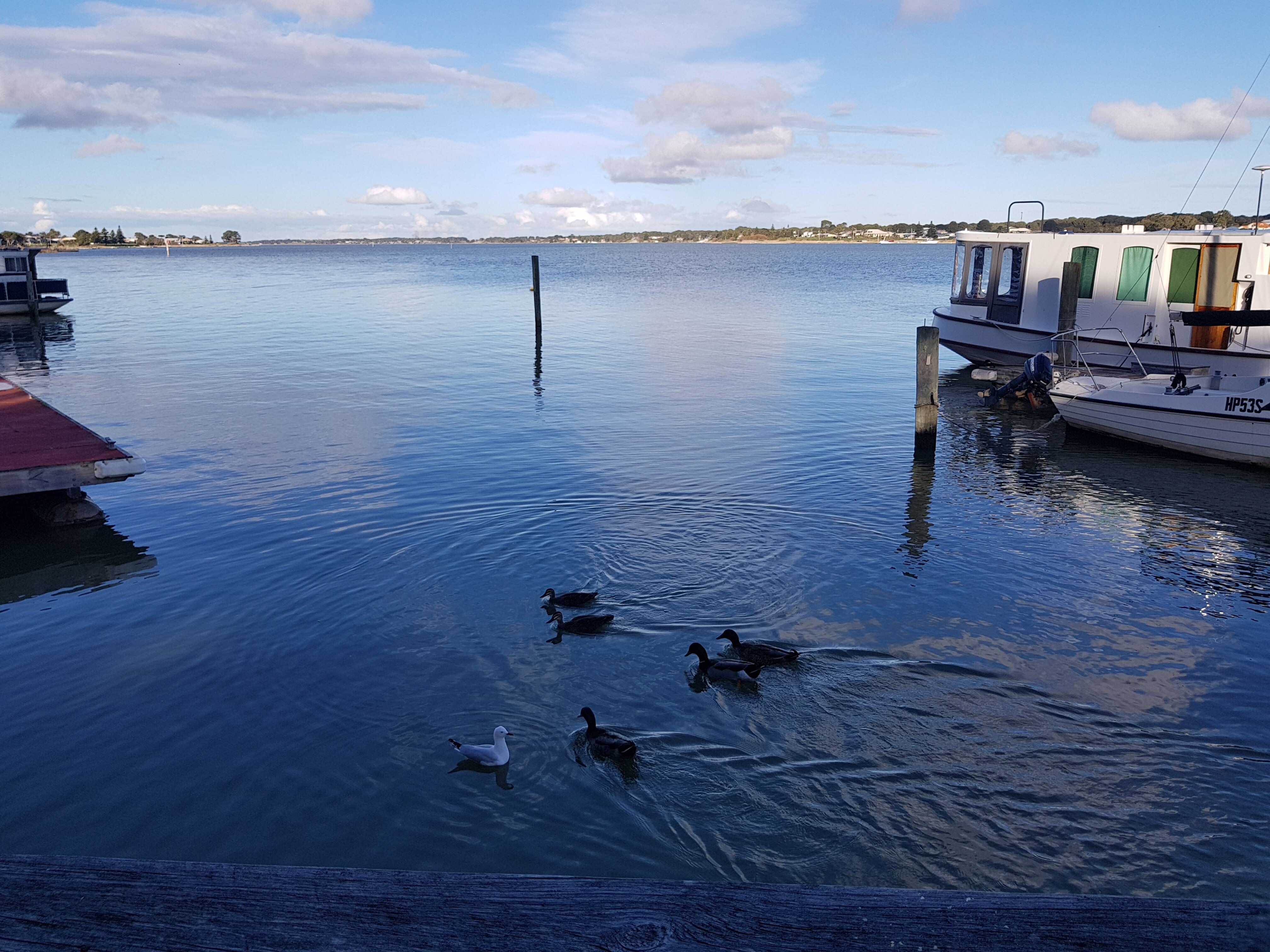 BOATHOUSE - BIRKS RIVER RETREAT - BIRKS HARBOUR Desde $3,832 (Goolwa ...