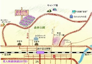 旅行者の写真