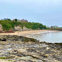 Jackson’s bay