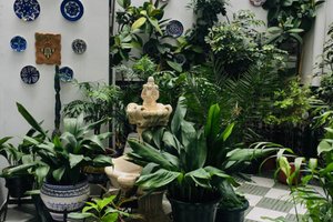 Khu vực gia đình và Khu vực vui chơi