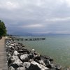 Sightsee817355