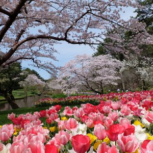 21年 浜松市で絶対外さないおすすめ観光スポットトップ10 定番から穴場まで トリップアドバイザー