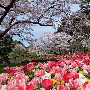 21年 浜松市で絶対外さないおすすめ観光スポットトップ10 定番から穴場まで トリップアドバイザー 21年 浜松市で絶対外さないおすすめ観光スポットトップ10 定番から穴場まで トリップアドバイザー