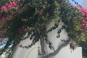 客房景观