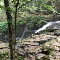 Dark Hollow Falls (Shenandoah National Park) - All You Need to Know ...