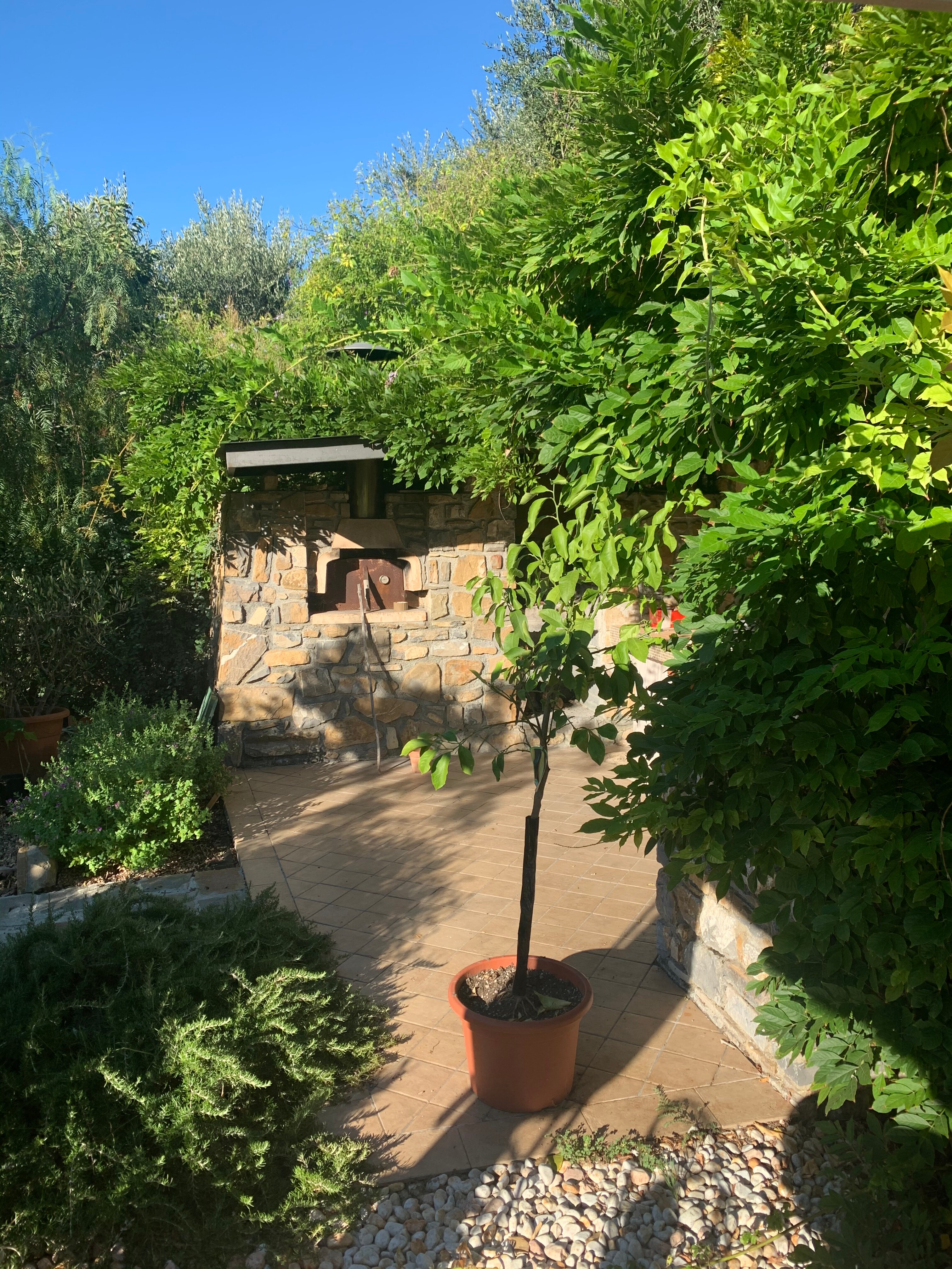 B&B VILLA ISABELLA - Prices & Reviews (Imperia, Italy)