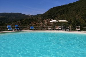 Pool & Beach