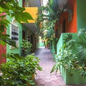 Beach House Hotel in Playa del Carmen, image may contain: Resort, Hotel, Terrace, Plant