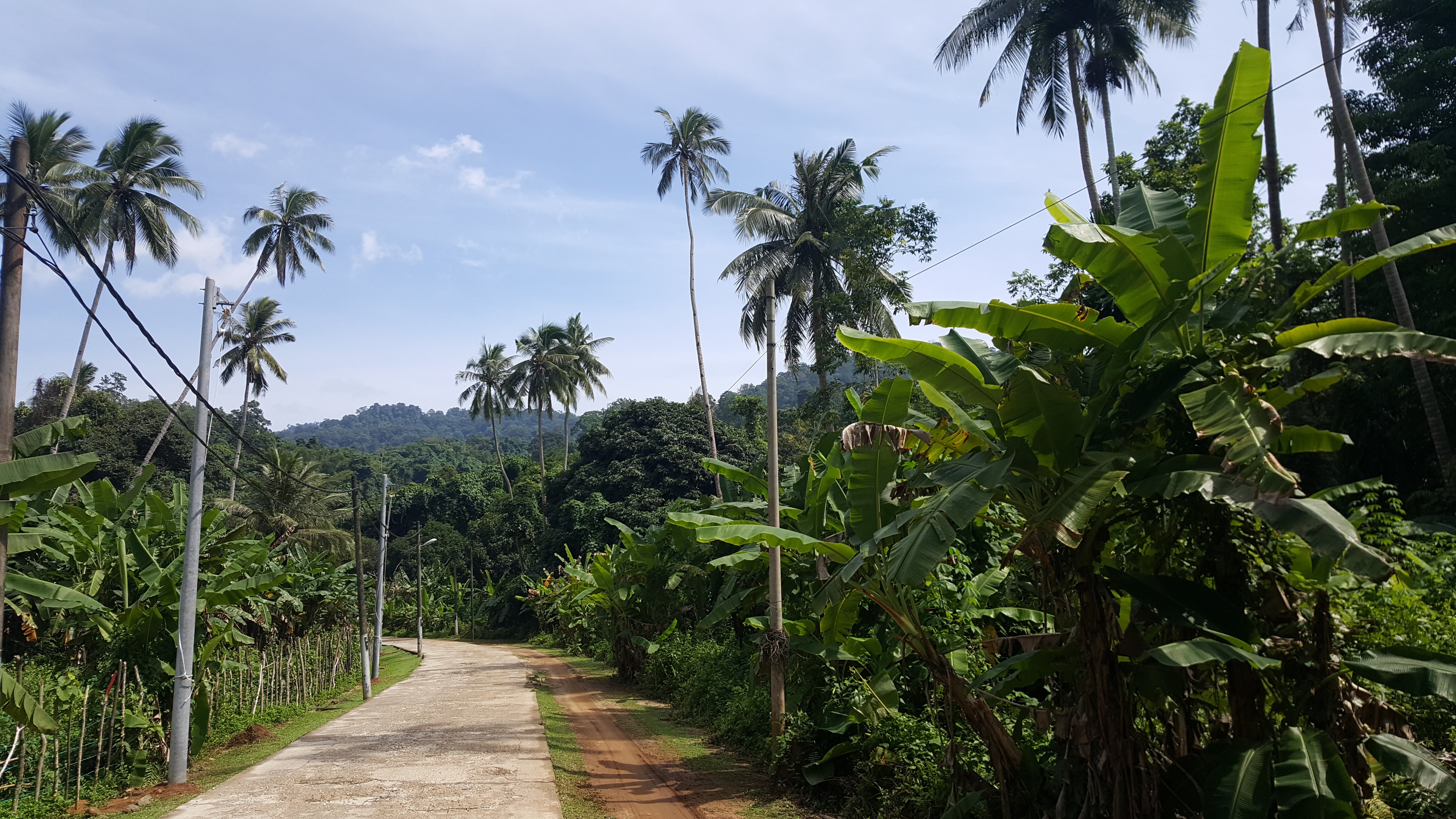 THE BEST Things To Do In Tioman Island 2024 With Photos   18th 