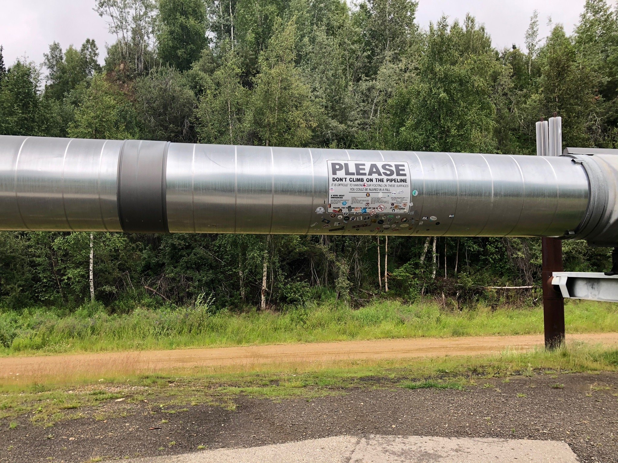 Alaskan Pipeline Condom