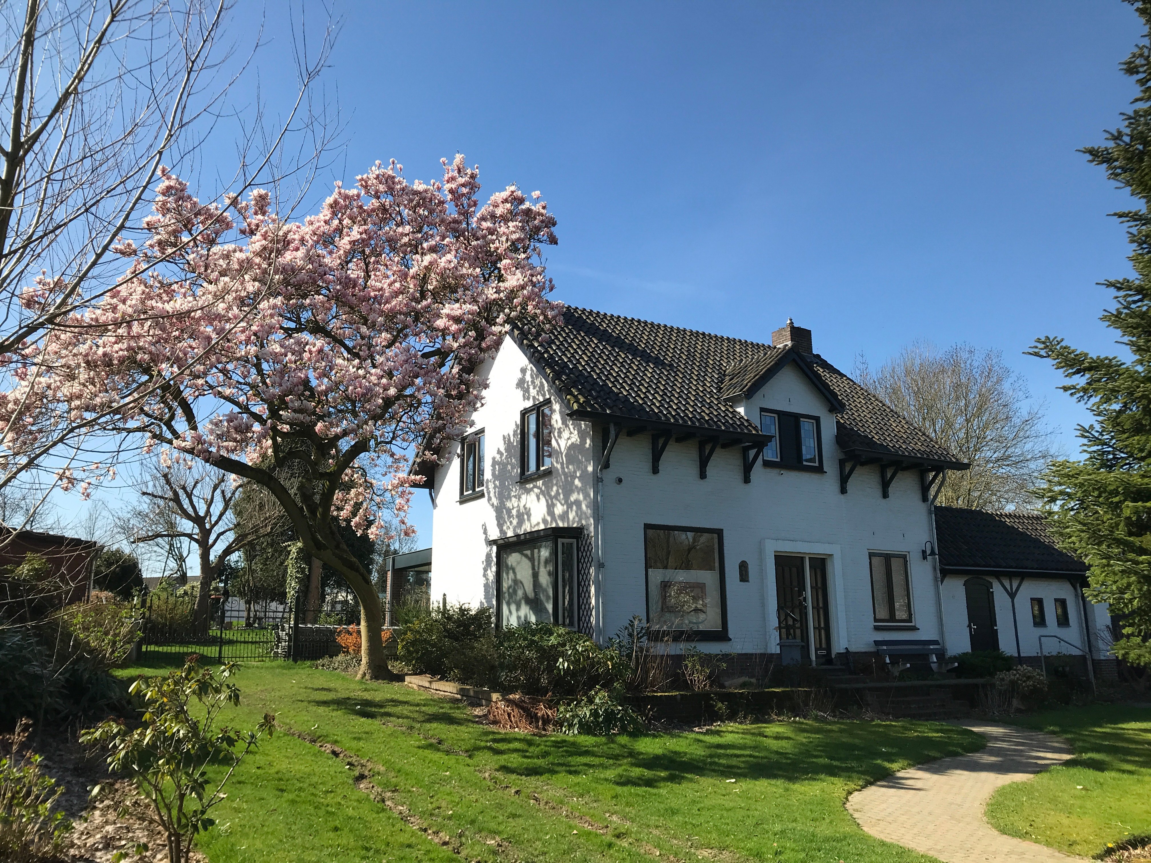 B&B MAGNOLIA - Specialty Hotel Reviews (Spaubeek, The Netherlands)