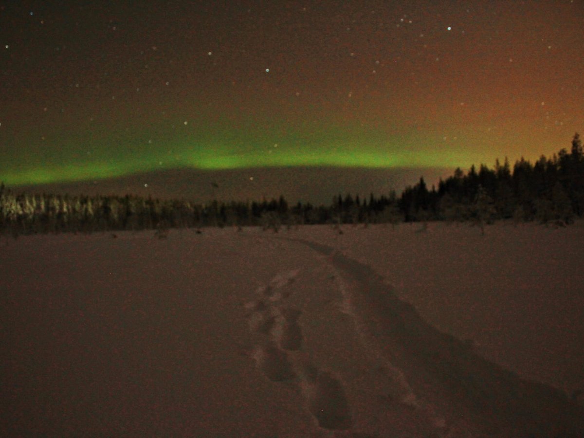 LAPLAND TRAVEL (2024) All You Need to Know BEFORE You Go (with Photos