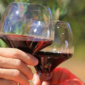 wine safari provence france