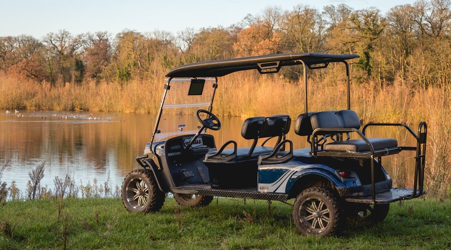 Buggy tours available