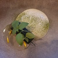 Art on a dish