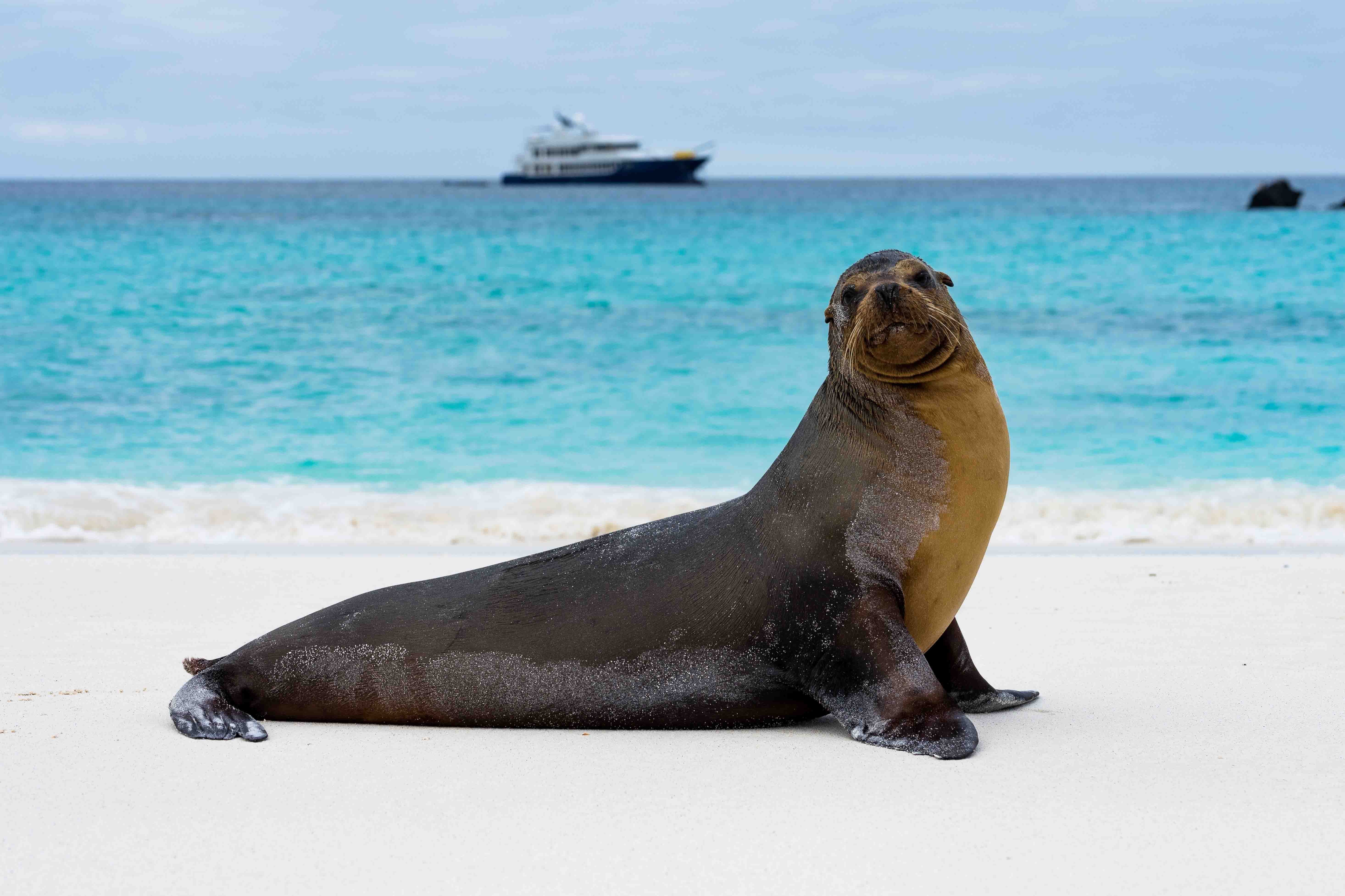 Ecoventura - Galapagos (San Cristobal) - All You Need To Know BEFORE You Go