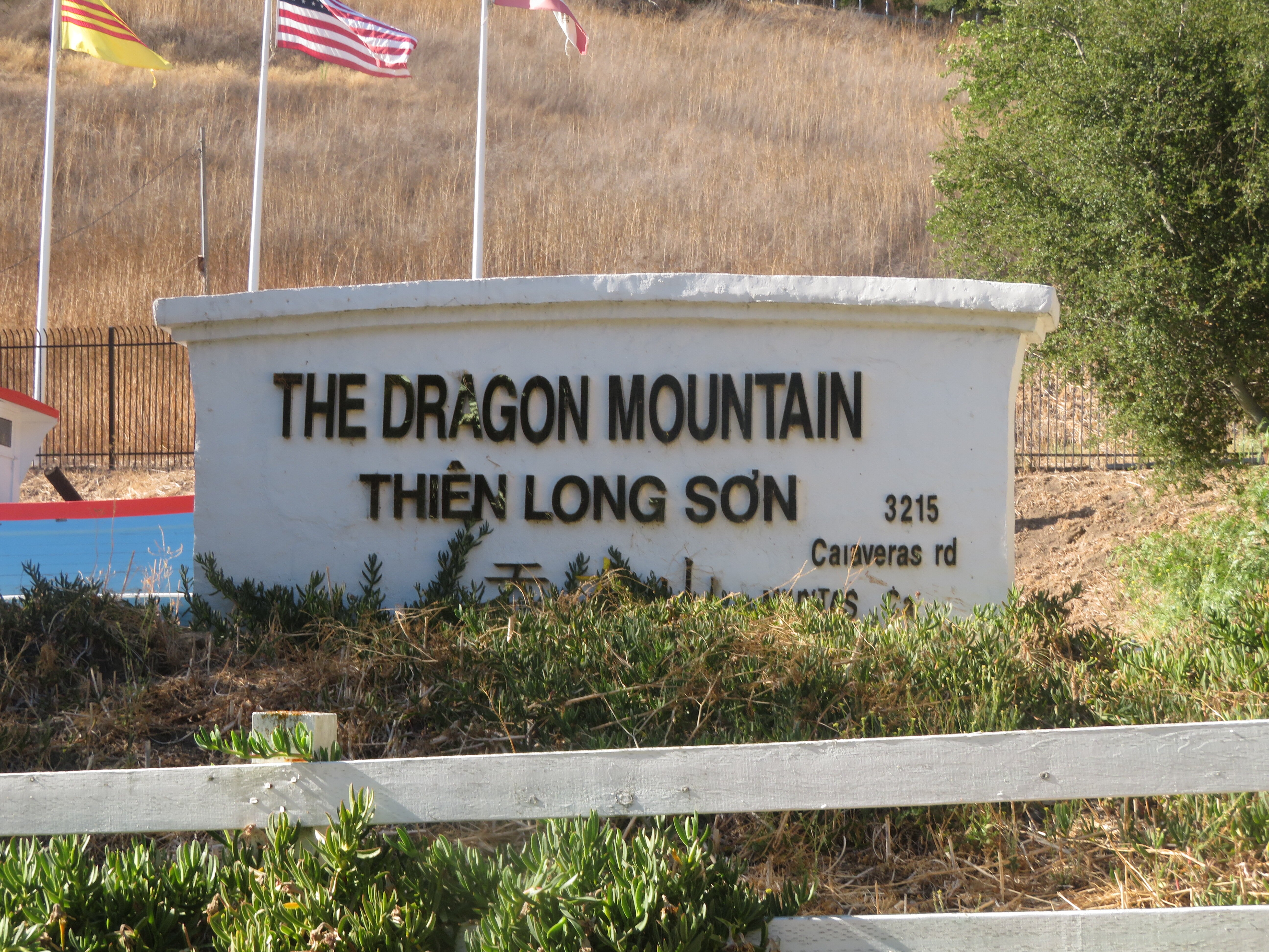 The Dragon Mountain Thien Long Son Milpitas All You Need To Know   The Dragon Mountain Then 