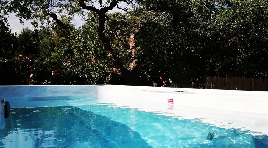 Piscina Swim Spa 