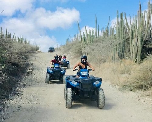 shore excursions in oranjestad aruba