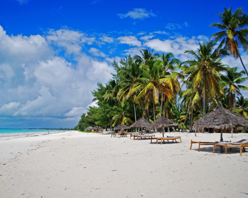 THE BEST Zanzibar Island Islands (with Photos) - Tripadvisor