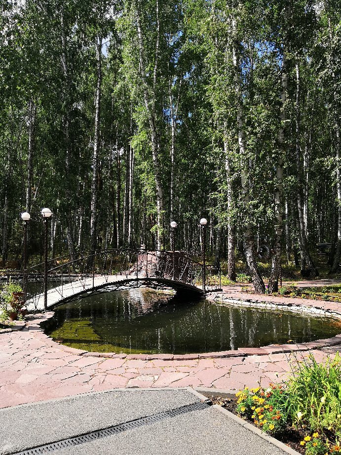 Санаторий Березовая роща Ялуторовск. Берёзово санаторий. Роща Аква. Роща Вояж.