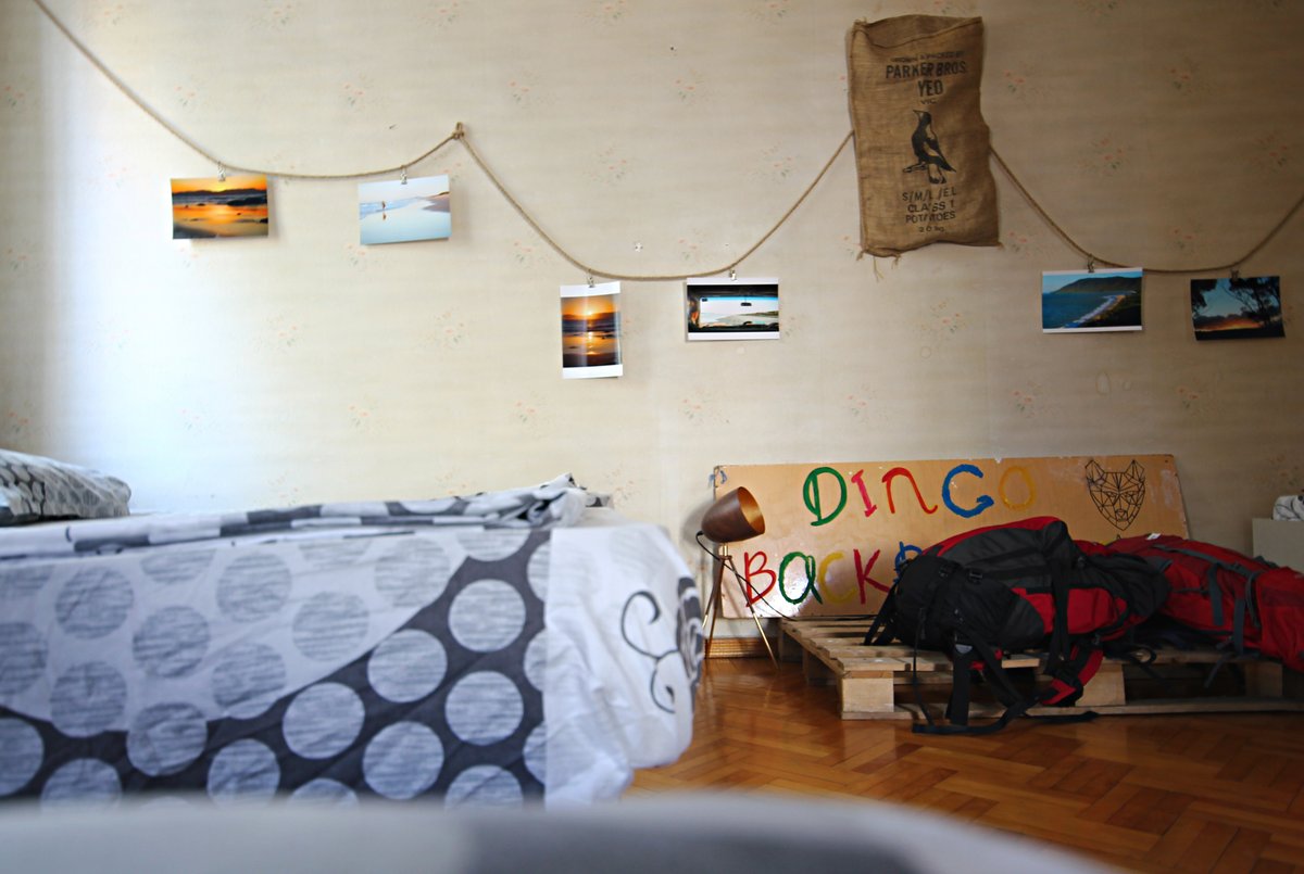 Dingo Backpackers Hostel Rooms Pictures & Reviews Tripadvisor