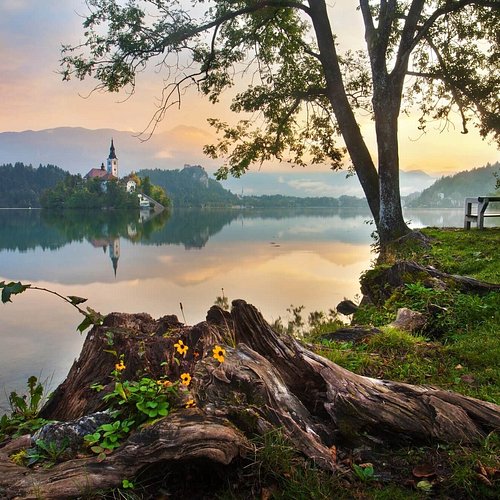 Lake Šmartinsko jezero • Outdoor sport »