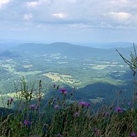The park is best visited by car which enables you to cover both tree canopied woods and the hilltop views! Bring your hiking boots if you want to sneak off the main road a bit. There’s plenty of trails to explore!