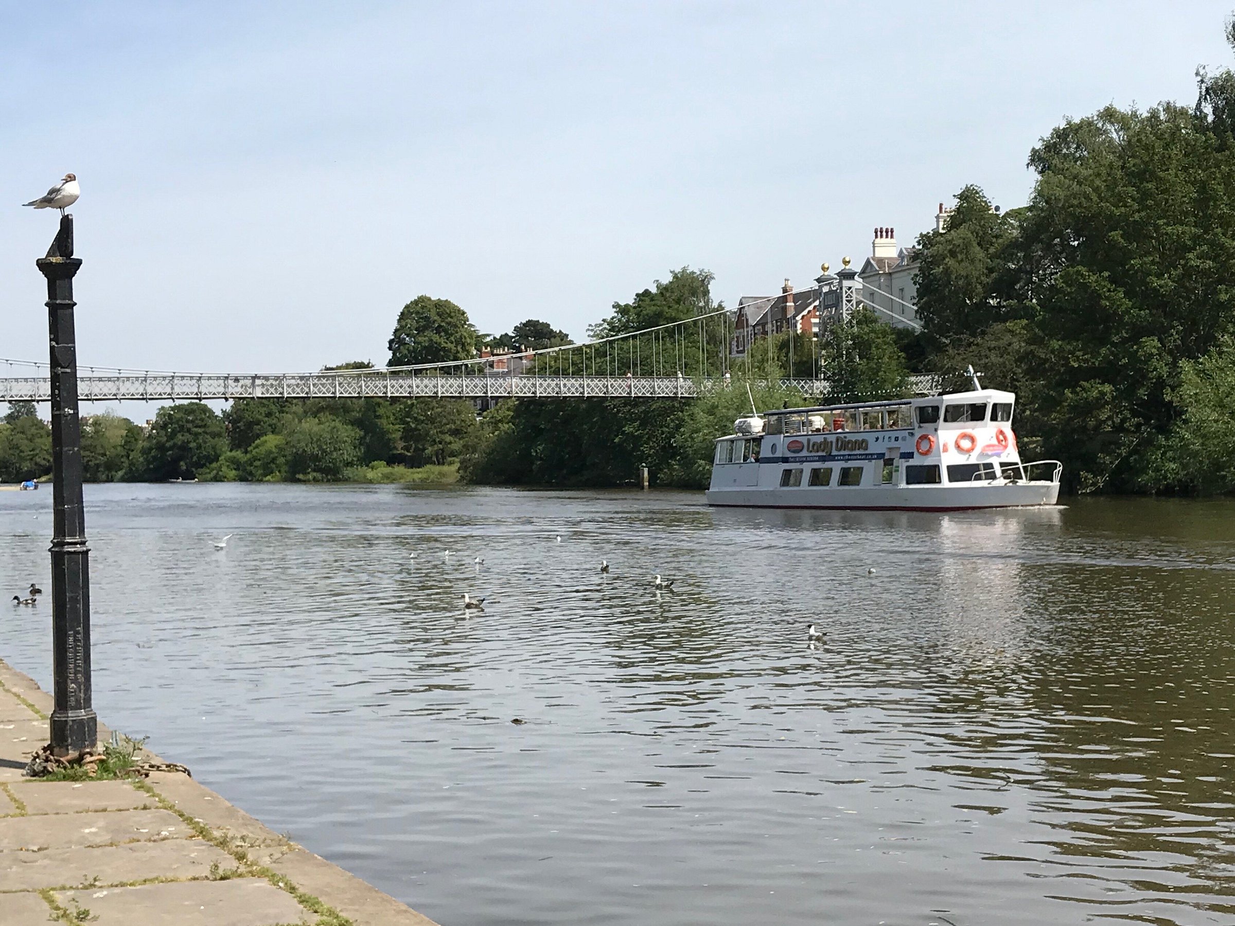 sailboats in chester