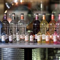 Our collection of award-winning gins!