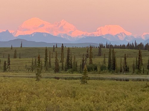 Denali National Park and Preserve review images