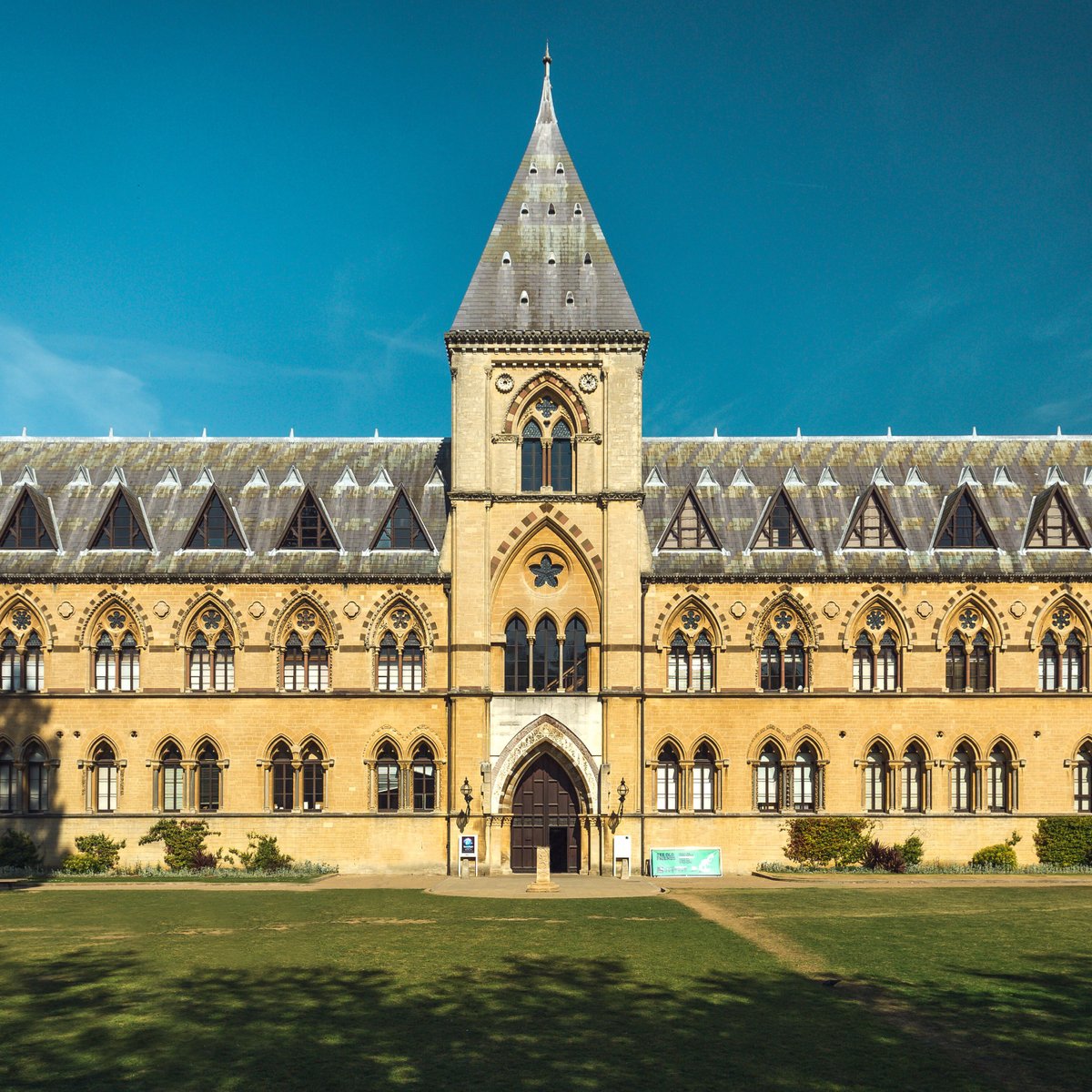 Oxford University Museum of Natural History, Оксфорд: лучшие советы перед  посещением - Tripadvisor