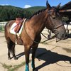SunupStables