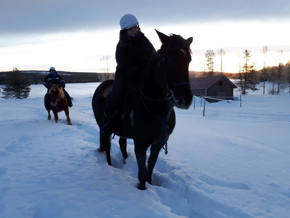 arctic nature trips rovaniemi