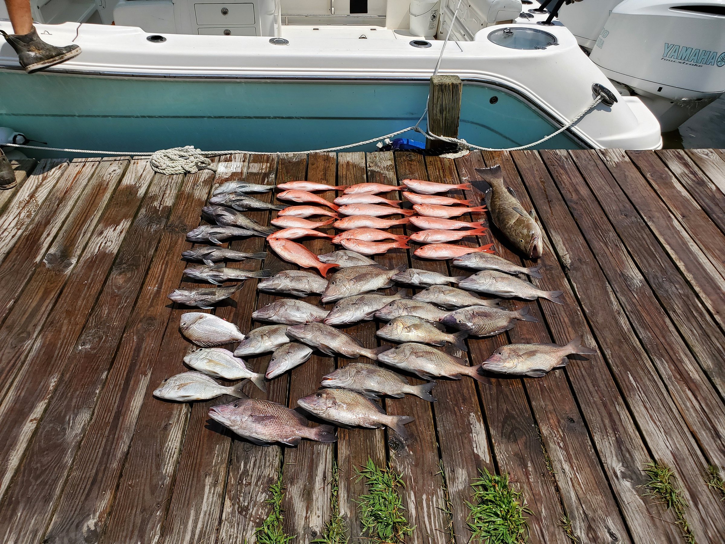 reel-cranky-fishing-charters-sneads-ferry-all-you-need-to-know