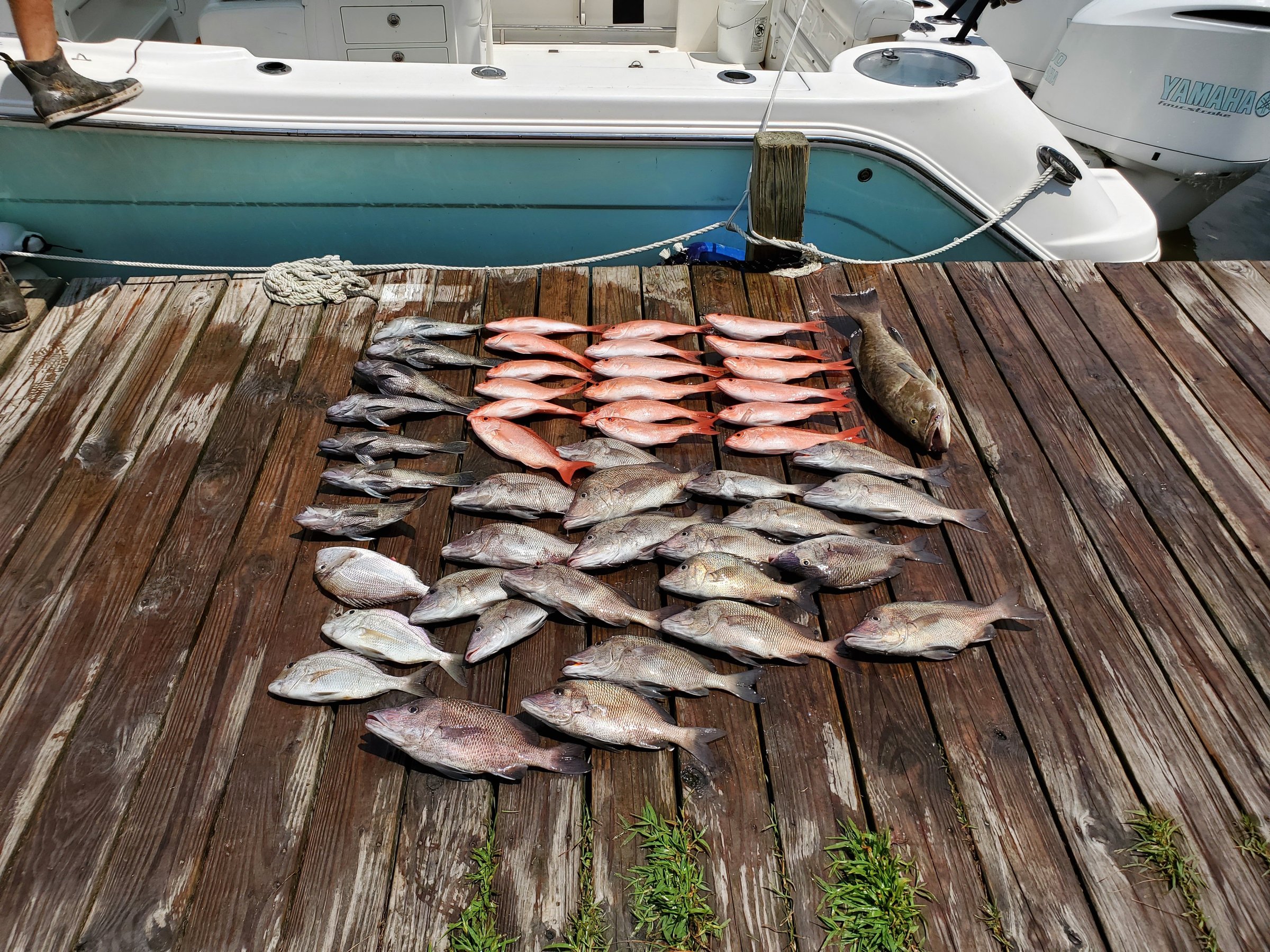 Reel Cranky Fishing Charters (Sneads Ferry) All You Need to Know