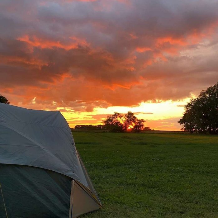 solace-farm-campground-reviews-davis-sd