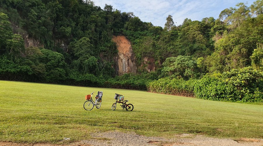 Singapore's Best Parks and Nature Reserves - Hidden Gems for Nature Lovers