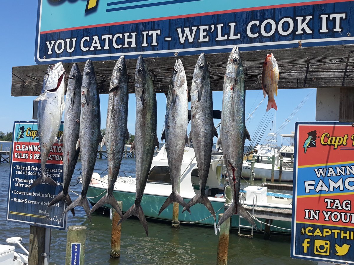 BIG EASY FISHING CHARTERS (Sebastian) All You Need to Know BEFORE You Go