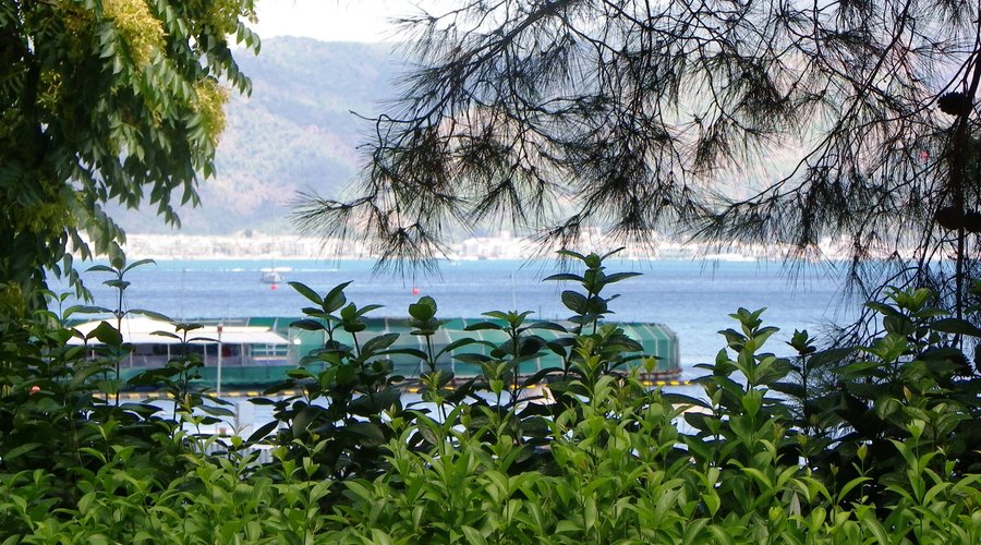 Embedded into the Nature of Marmaris bay